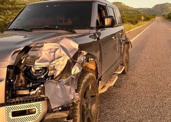 Animal na pista causa acidente com a cantora Taty Girl