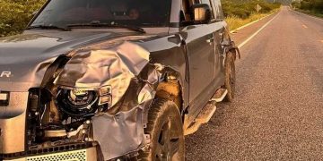 Animal na pista causa acidente com a cantora Taty Girl