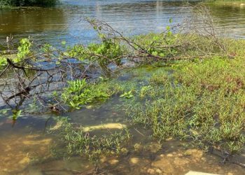 Defesa Civil monitora elevação do nível do Rio Apodi-Mossoró