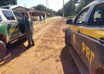 Nove pessoas são presas e mais de mil arribaçãs são apreendidas no interior do RN