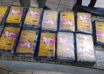 Polícia apreende 17kg de pasta base de cocaína enterrados em praia