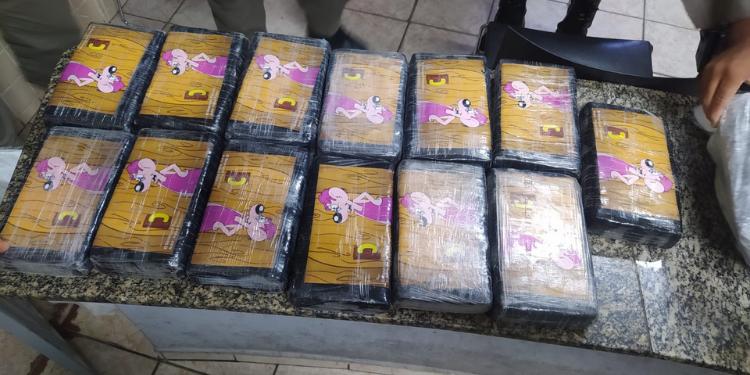 Polícia apreende 17kg de pasta base de cocaína enterrados em praia