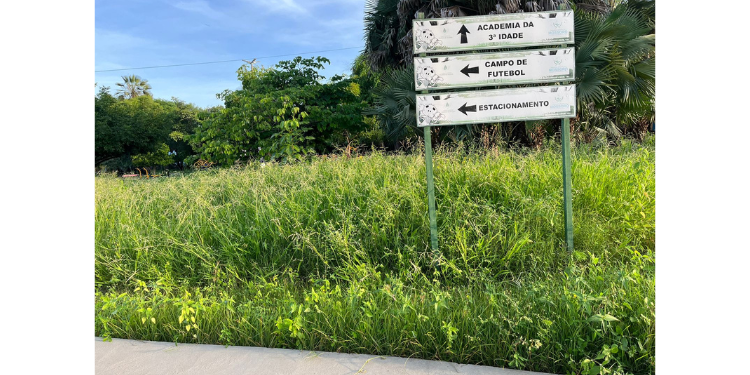 Após reclamação de usuários, Prefeitura de Mossoró inicia limpeza no Parque Municipal