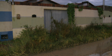 Maus-tratos: dois cachorros mortos e dois desnutridos são encontrados no Bairro Sumaré