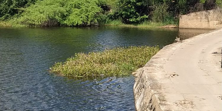 Corpo é encontrado boiando no Rio Mossoró, polícia investiga identidade