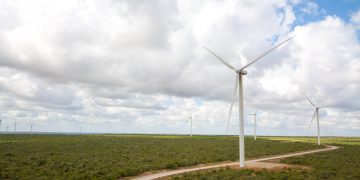 RN se consolida como maior produtor de energia eólica da América Latina