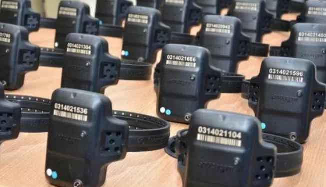 RN não tem novas tornozeleiras e presos do semiaberto são liberados sem o equipamento