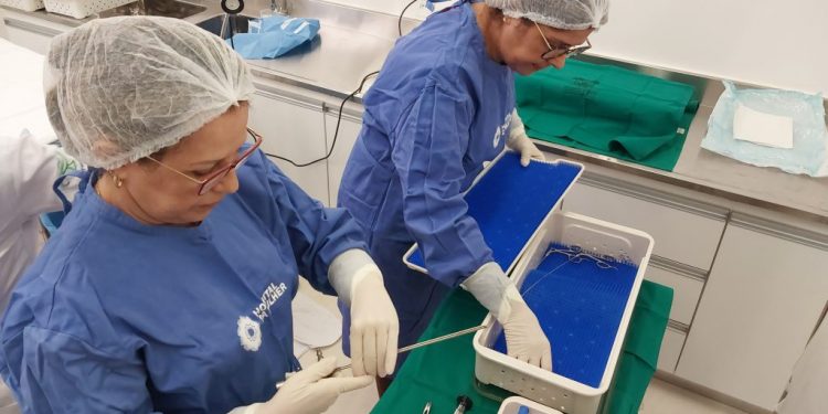 Exame de histeroscopia é oferecido no Hospital da Mulher