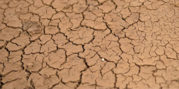 Cinco cidades potiguares têm situação de emergência reconhecida pela Defesa Civil Nacional