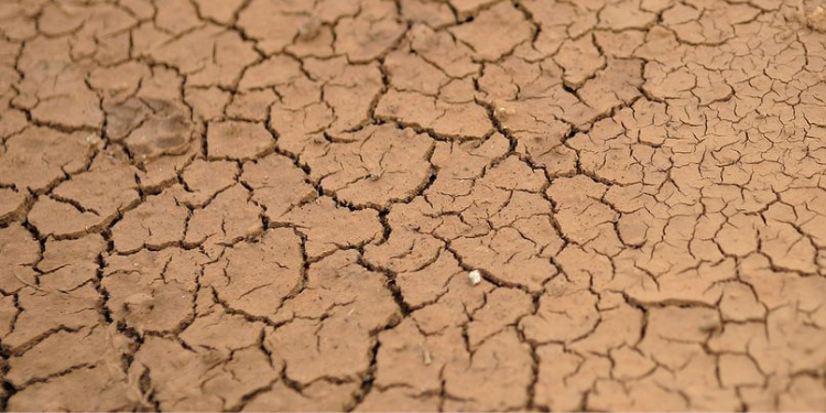 Cinco cidades potiguares têm situação de emergência reconhecida pela Defesa Civil Nacional