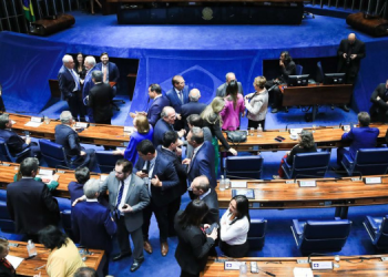 Senado aprova texto de arcabouço fiscal; veja como senadores do RN votaram