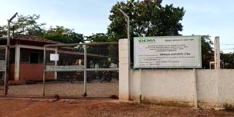 Justiça bloqueia mais R$ 229 mil das contas de granja por descumprir medidas sanitárias