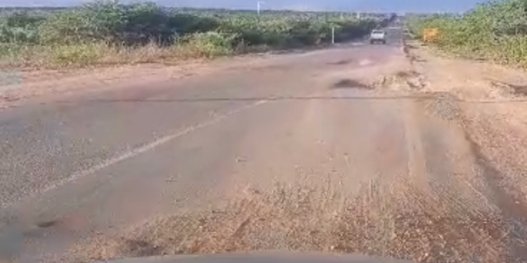 “Tá quase intransitável”, diz motorista sobre buracos na BR-110