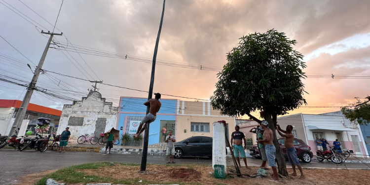 Confira imagens do primeiro dia do Pau de Sebo da Princesa