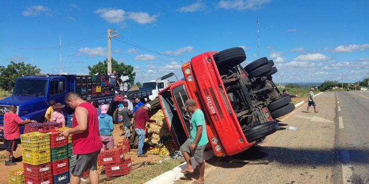 Caminhão carregado com frutas e legumes tomba na BR-405