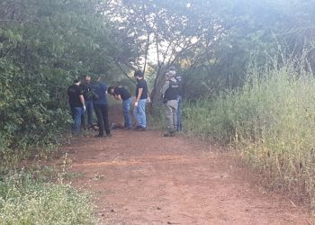 Homem é assassinado a pedradas e pauladas em zona rural de Baraúna