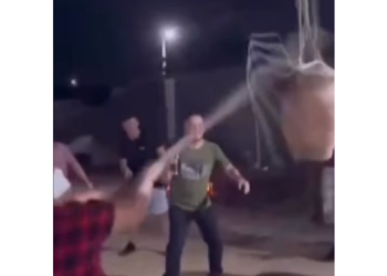 Quatro envolvidos em caso de “gato no pote” vão responder por maus-tratos a animais