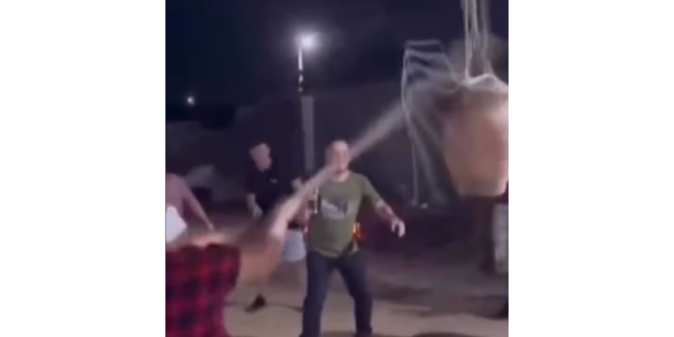 Quatro envolvidos em caso de “gato no pote” vão responder por maus-tratos a animais