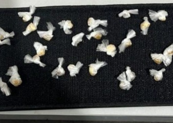 Homem de 36 anos é preso por tráfico de drogas no Beco do Pedregal