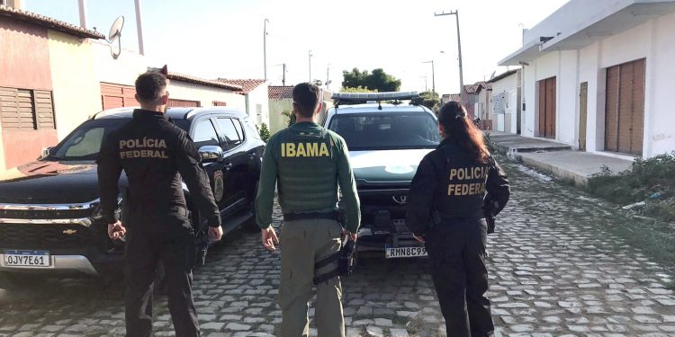 Homem é preso por caça ilegal de animais silvestres em Martins