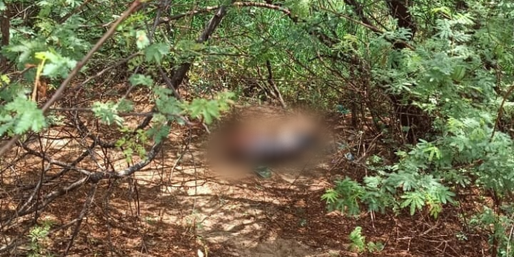 Jovem é assassinado a tiros em Caraúbas