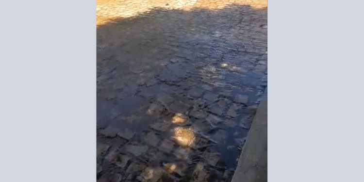 Moradores mostram descarte de água no Bairro Abolição; Caern explica