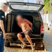 Homem é preso após descumprir medida protetiva em Grossos