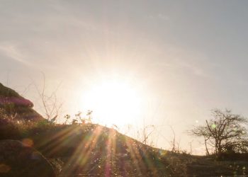 Caicó registra temperatura recorde de 40,04° nesta segunda-feira (25)