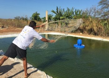 Pesquisa desenvolvida em Mossoró concorre a prêmio mundial de dessalinização