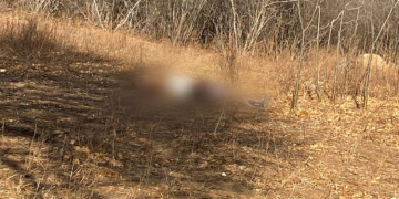 Dois corpos com marcas de violência são encontrados em Encanto