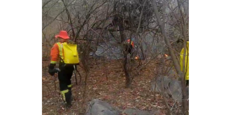 Após 10 dias, incêndio na Serra do Cuó é controlado