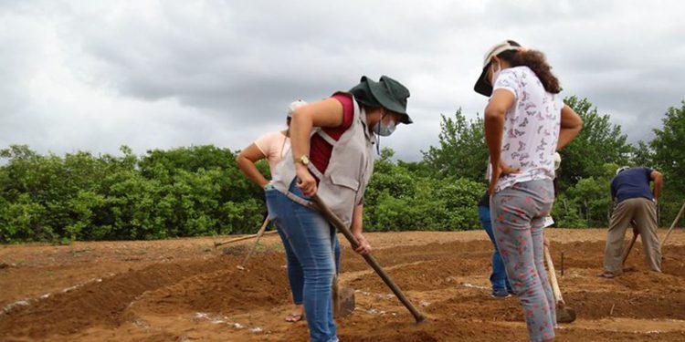 Curso técnico em Agricultura está com inscrições abertas em Mossoró