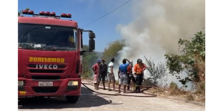 Queimada em plantação de capim é registrada em Lucrécia