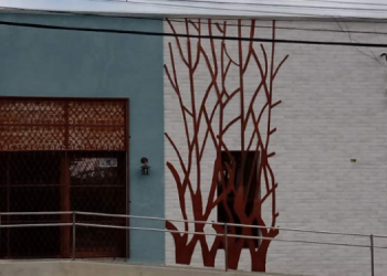 Centro Feminista 8 de Março celebra 30 anos com programação cultural