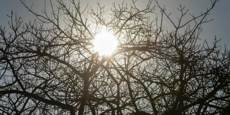 Inmet alerta sobre baixa umidade do ar em 79 cidades do RN