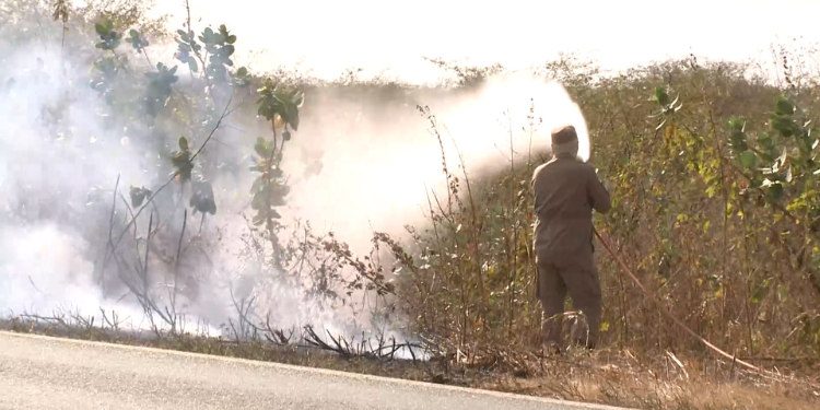 Queimadas em vegetação têm aumento de 32,2% no RN