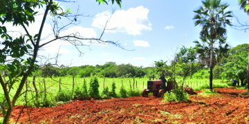 Prefeitura de Mossoró inicia inscrições do Programa Semear 2024