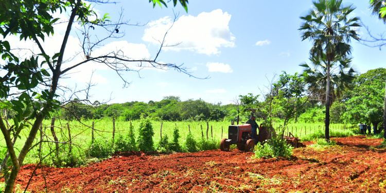 Prefeitura de Mossoró inicia inscrições do Programa Semear 2024