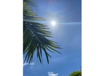 Calor intenso nos últimos meses tem explicação