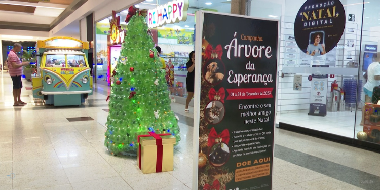 Árvore da Esperança: campanha incentiva a adoção de pets no Natal