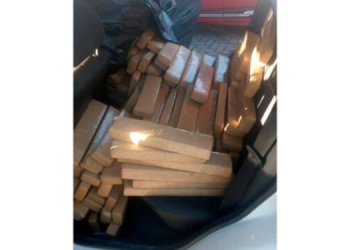 Motorista potiguar é preso transportando 355kg de maconha no Ceará