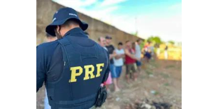 Pássaros silvestres são resgatados em feira clandestina no bairro Belo Horizonte