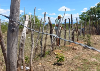 Pau dos Ferros tem situação de seca decretada