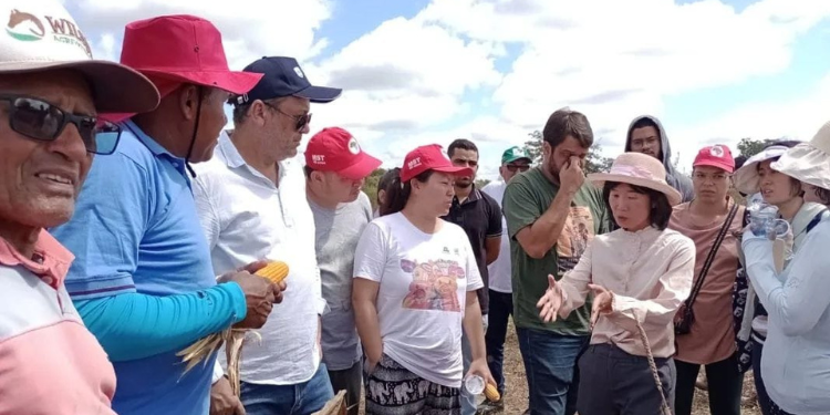 Parceria Brasil-China começa jornada de eventos nesta quinta-feira (25)