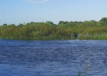 Cinco ataques de piranhas são registrados no Rio Açu no fim de semana