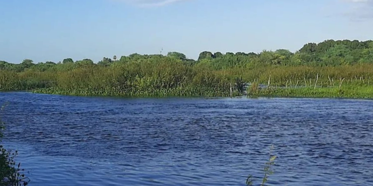 Cinco ataques de piranhas são registrados no Rio Açu no fim de semana