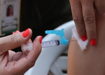 Imunização contra a dengue começa em fevereiro; 18 municípios potiguares receberão vacina