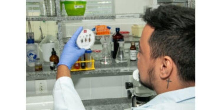 Ufersa oferta vagas em seis programas de pós-graduação