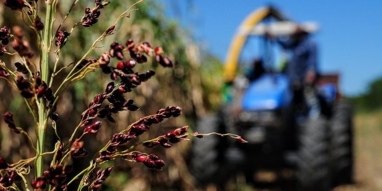 Inscrições de curso Técnico em Agricultura são prorrogadas até 19 de janeiro