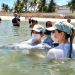Projeto Cetáceos e Cemam atendem 24 animais marinhos encalhados em 17 dias